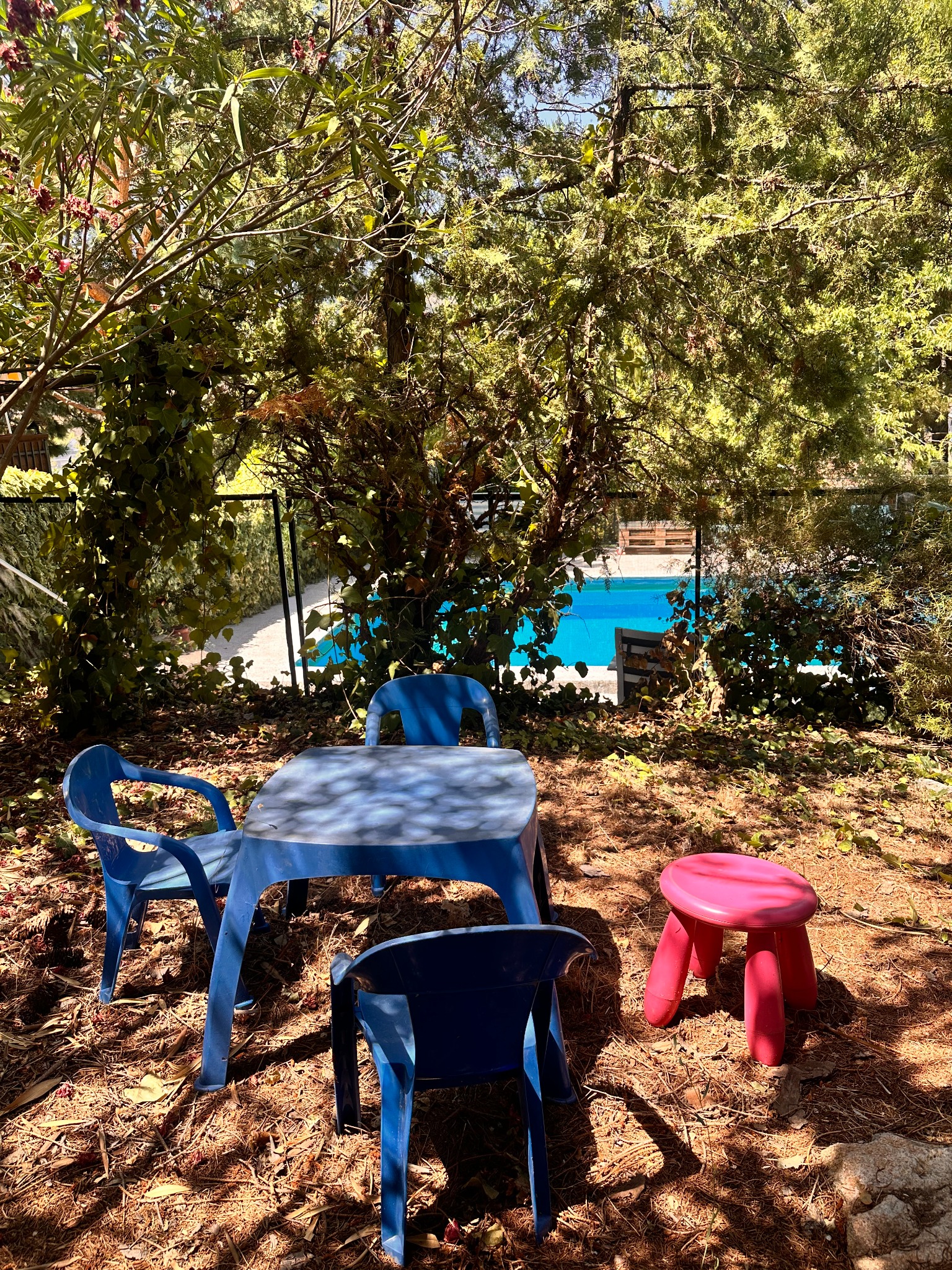 Jardín junto a la piscina